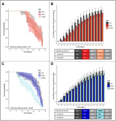 Bacteriocyte plasticity in pea aphids facing amino acid stress or starvation during development